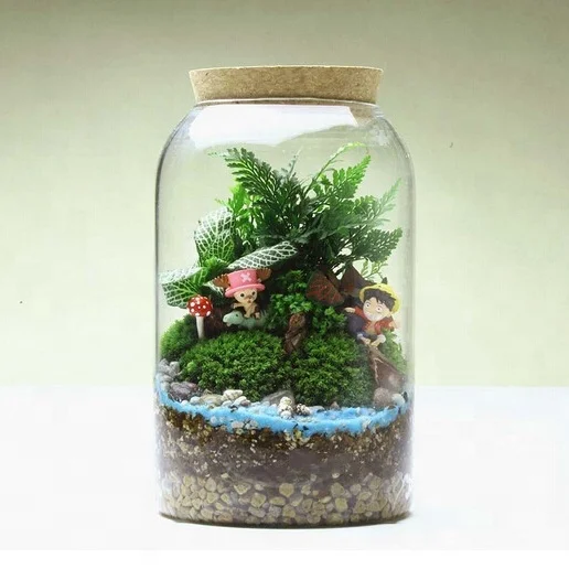 Боросиликатное стекло биодом тропический лес Террариум с пробкой