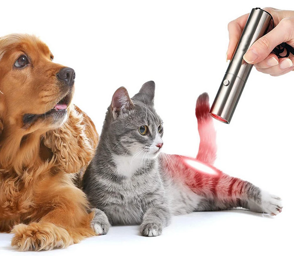 Deep Penetrate Lamp Medical Device Infrared Therapy Torch 460nm 630nm 660nm 850nm 900nm 5LED Red Led Skin Pen Light Flashlight