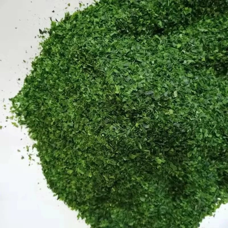 Food Ingredient Dried AOSA Seaweed Ulva flakes Aonori Malaysia