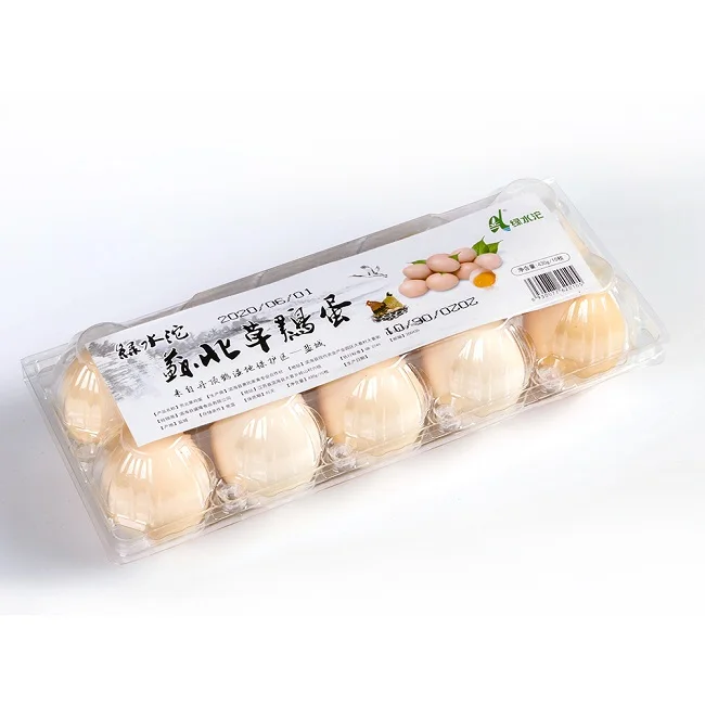 High Quality Multi-Colored Convenient Plastic Circle  Eggs Boxes for Food Shop/Restaurant