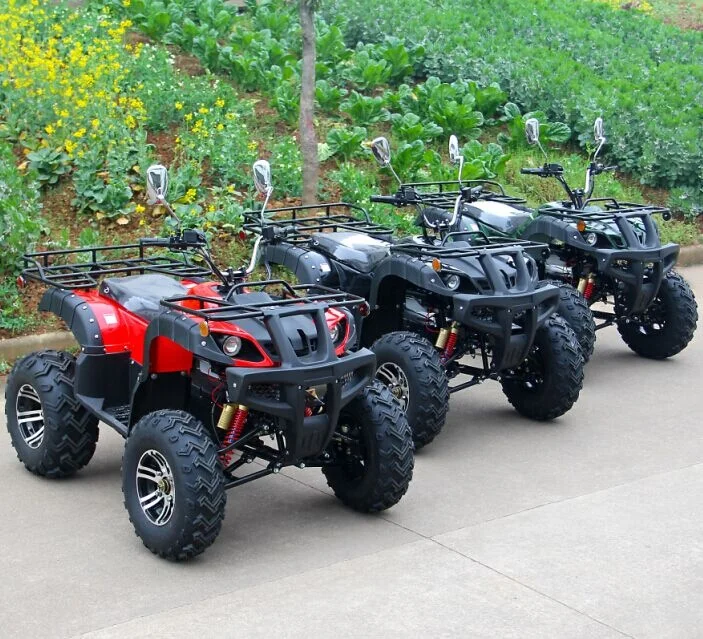 Fast electric 4x4 atvs adult electrica quad bike