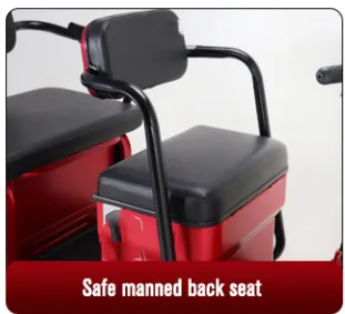 Electric Tricycle with Fashion Apperance 3 Wheel scooter for Adult Use