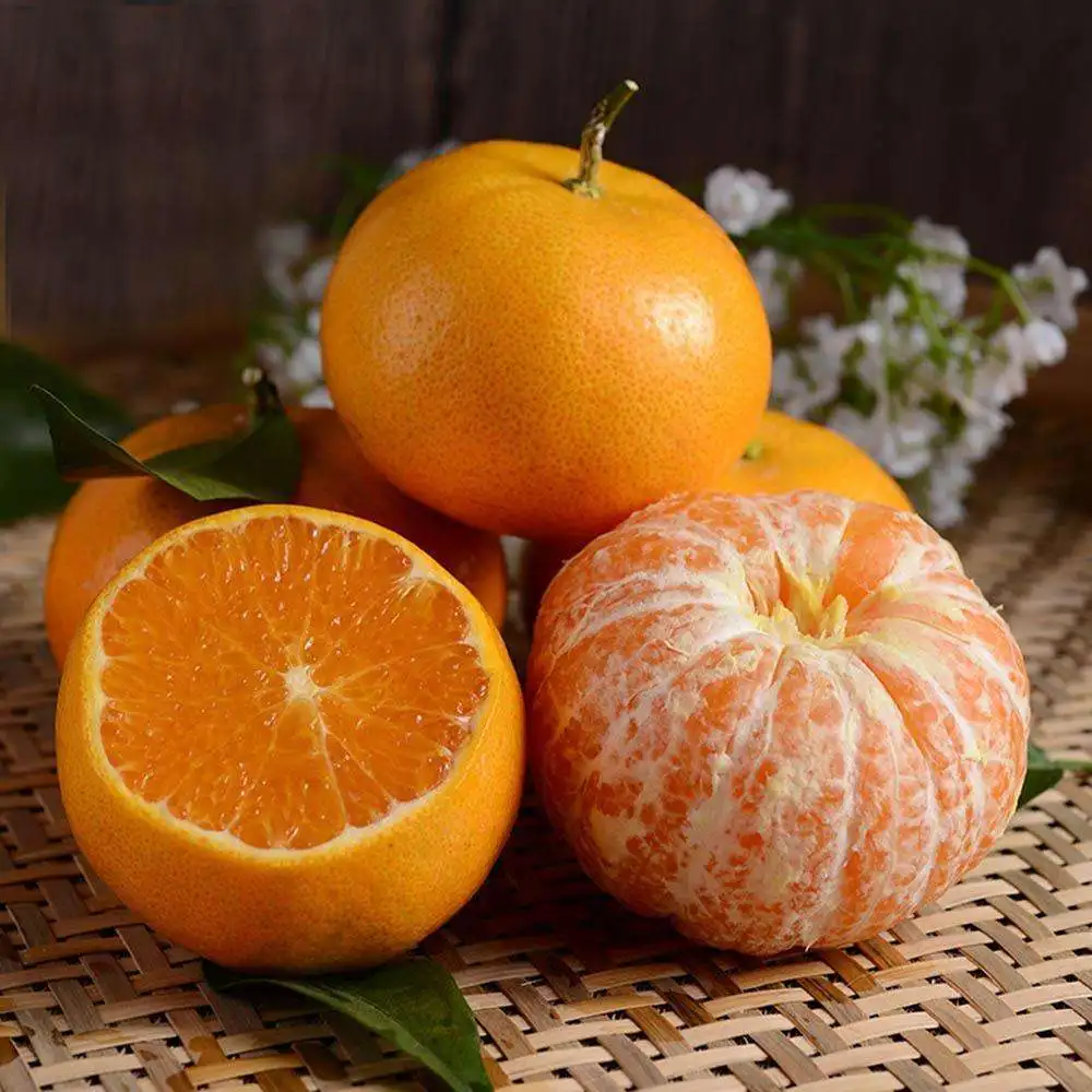 2022 Yunnan Fresh Fertile Orange Made in Yunnan Province  Rich in a variety of nutrients  China Exporters  Quality Wholesale