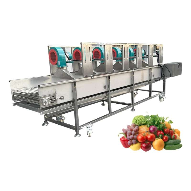 Automatic Fruit Juice Production Line Passion Fruit Lemon Orange Juice Production Line Fruit Washing Line