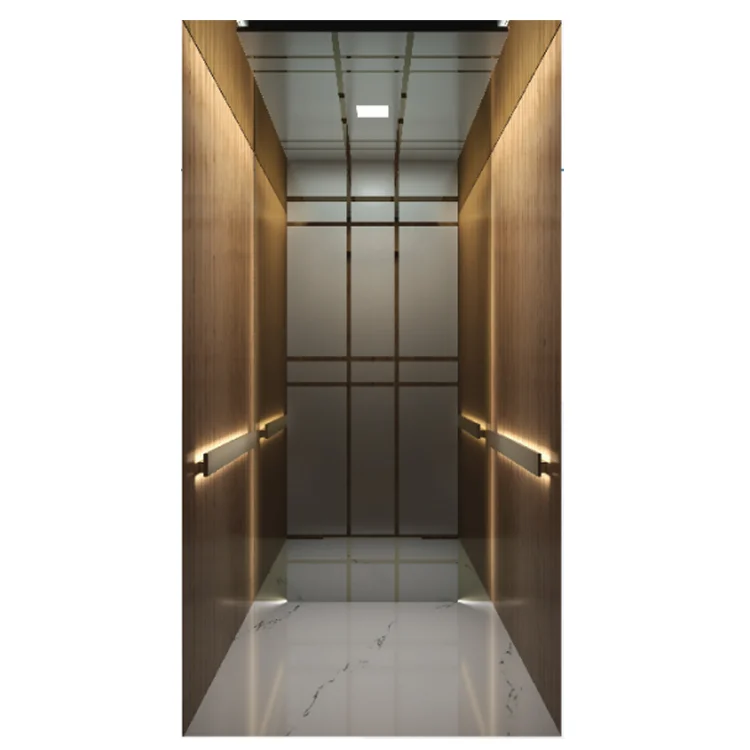 Home Elevator Lift Hydraulic Residential Lift Small Elevators for Homes Villa
