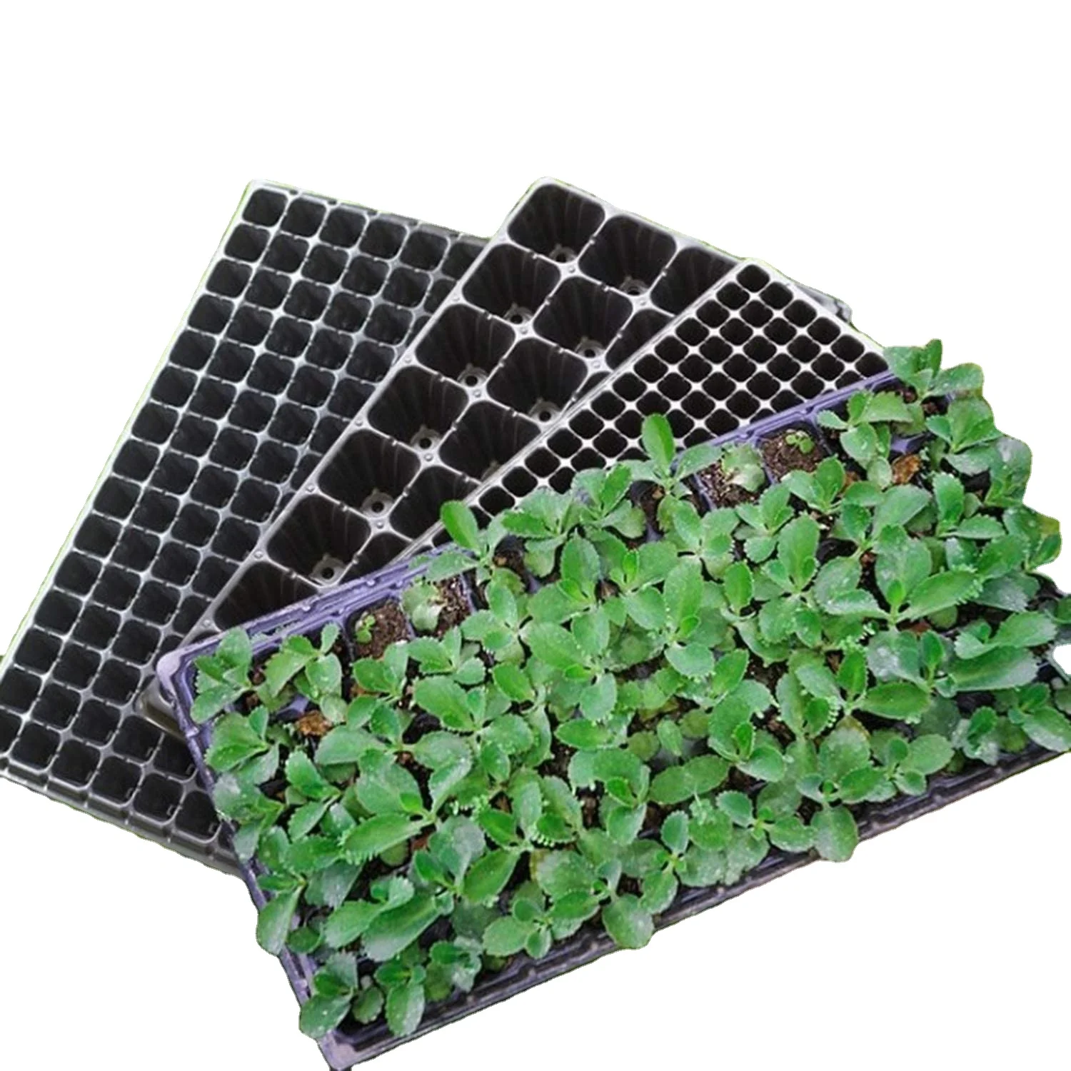 128 Cells Cheap Bulk Gardening Planting Plastic Seedling Trays for Flowers and Plants