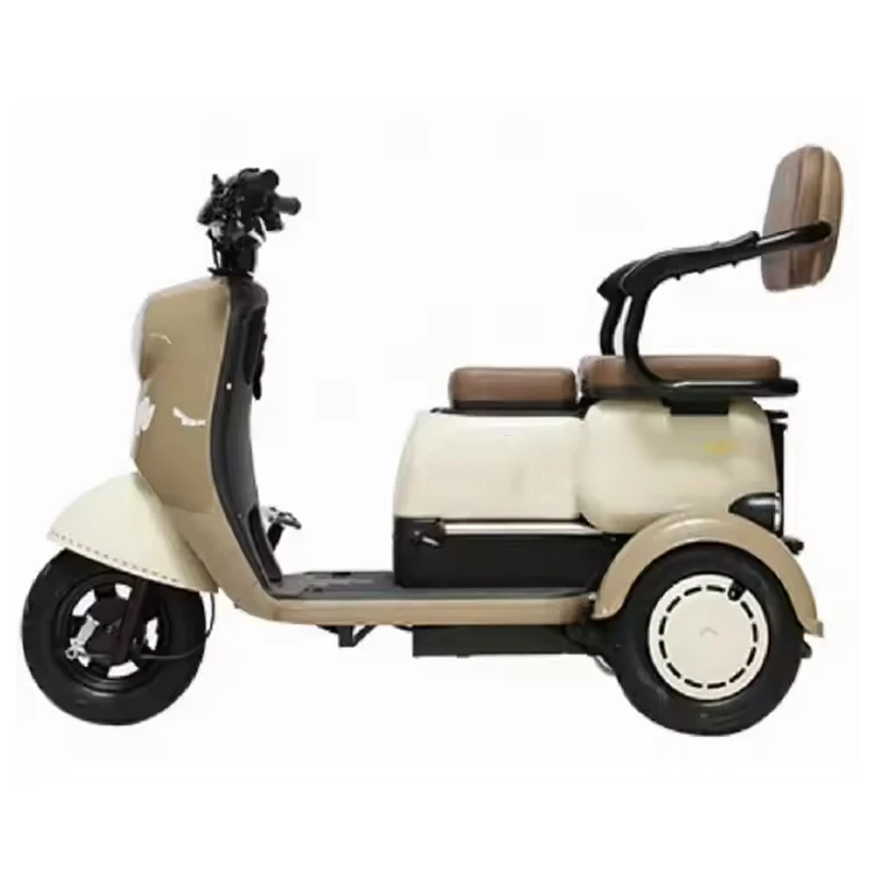 Export high-quality Alloy 3Wheel electric tricycles ebike scooter motor 600W battery 48V/60V 20AH for Families