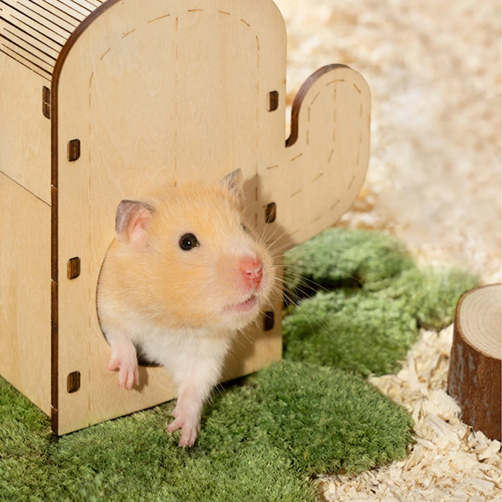 MewooFun New Design Guinea Pig DIY Double/Single Layer Cage Hamster hideout-cactus