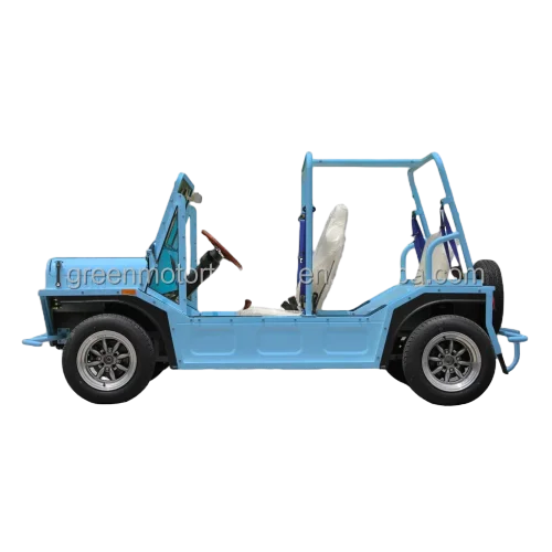 4 Seat-MOKE Blue Electric Vehicle with Lithium battery 96v speed 70km/h