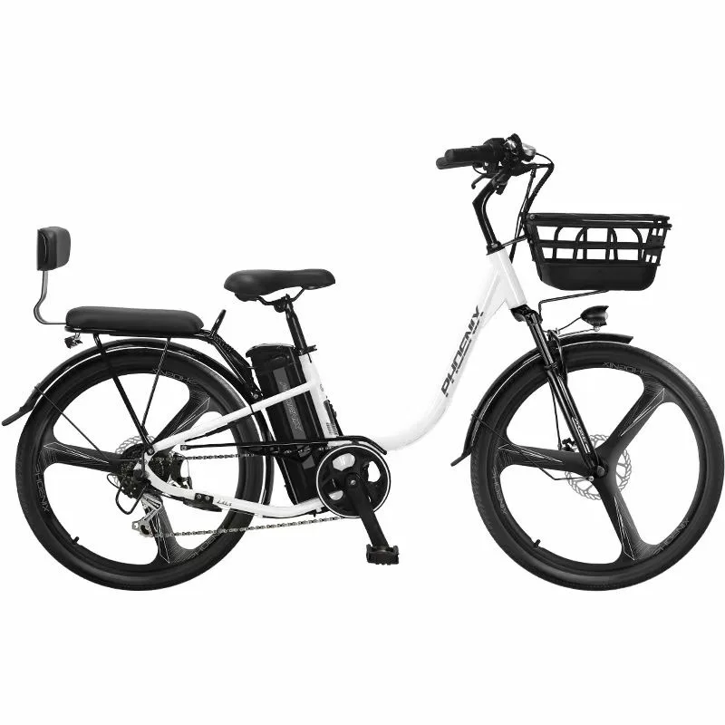 Электрический горный велосипед помогает мелкому производителю Bicicleta Electrica литиевая батарея электрический