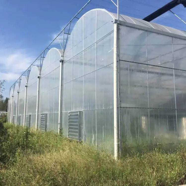 Прозрачная сельскохозяйственная пластиковая пленка для выдувного формования, устойчивая к УФ-излучению пленка для теплиц, 6 мил, 4 года, водонепроницаемая мембрана