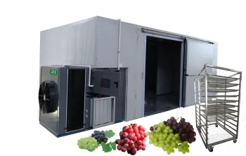 Coconut sugar drying oven fruit processing dryer machine