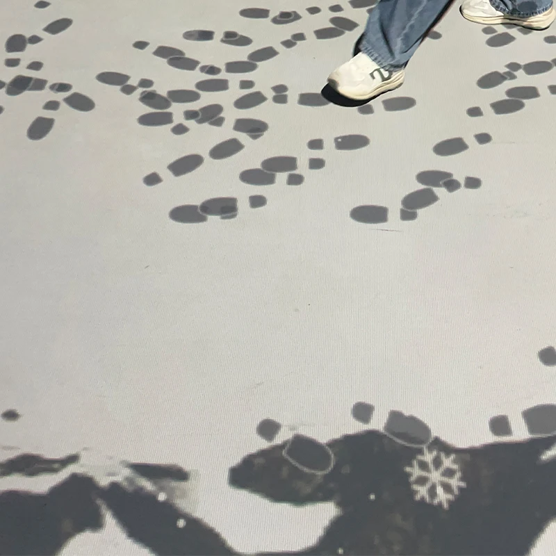 latest indoor AR 3D projection interactive magic projection Ar Interactive Particle Wall Projection games for kids