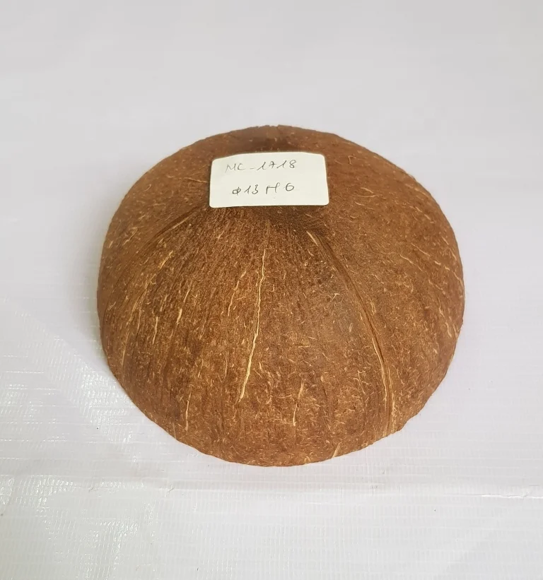 New Design Carving Customized Logo High Quality Ecofriendly Bowls Wholesales Coconut Bowl from Vietnam