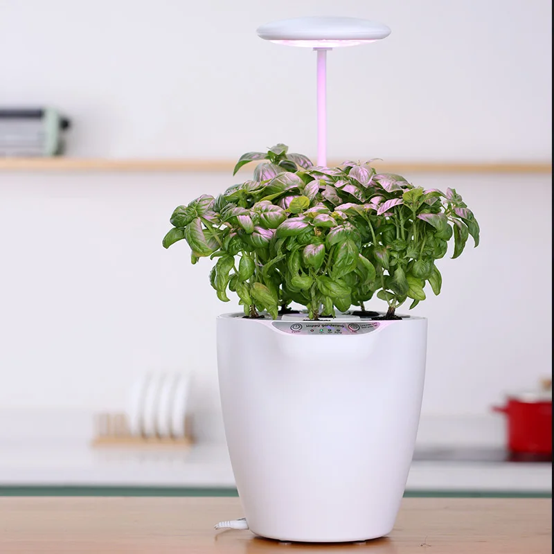 Oliz Z203 6 pods hydroponic/soil culture intelligent indoor planter