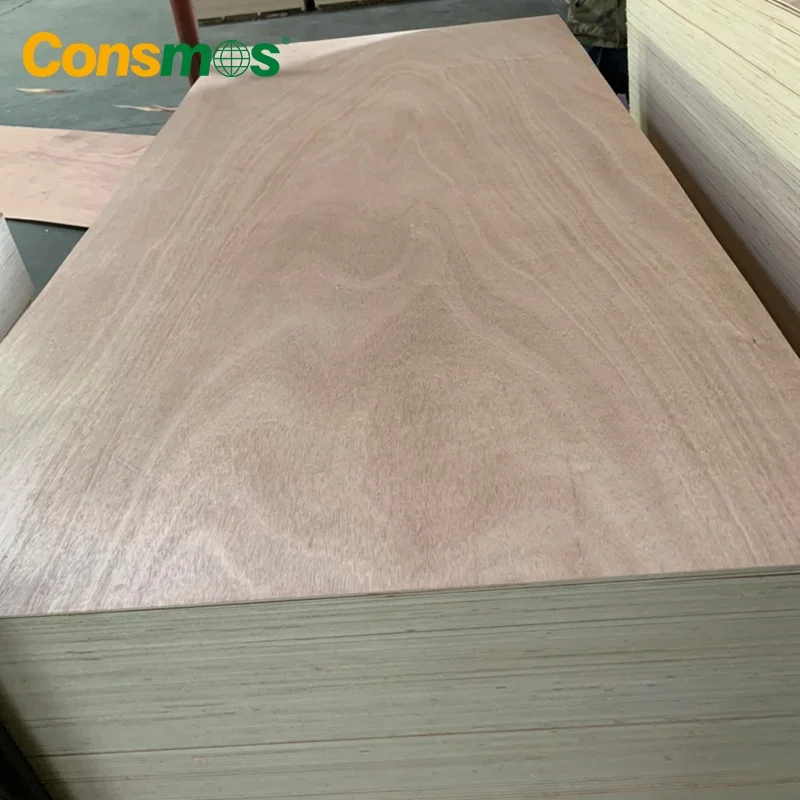 Low Price 1200x2400mm Waterproof Poplar Core Okoume Birch Bintangor Faced Commercial Plywood Sheet for Furniture