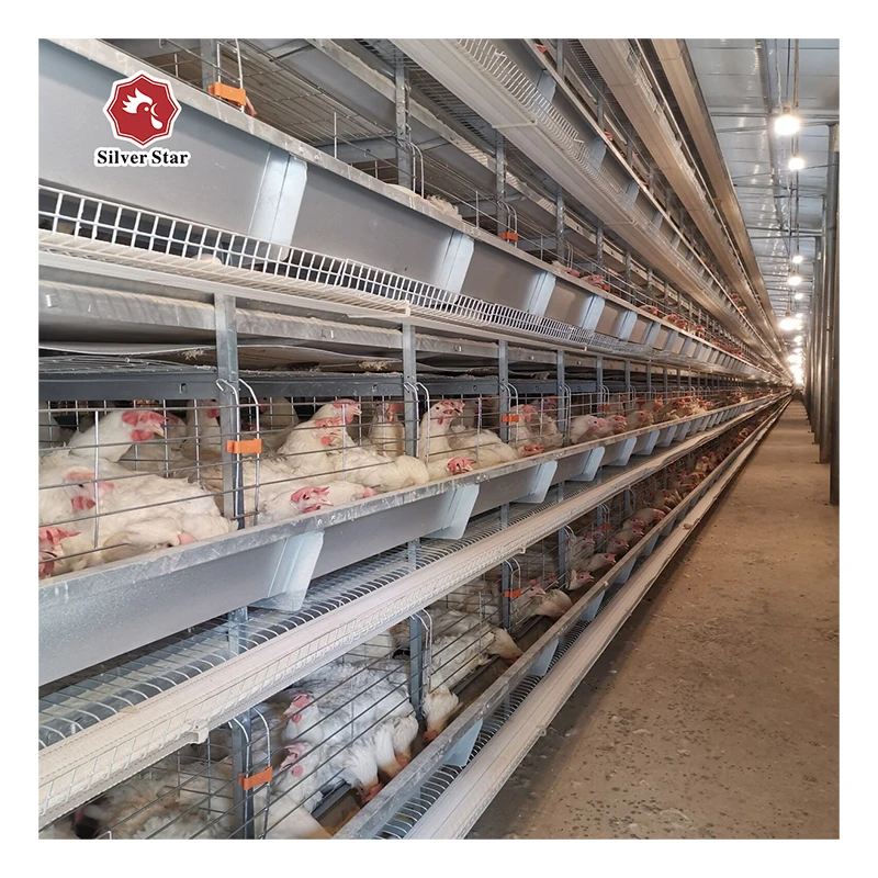 Factory produces customizable multi-layer automated cold galvanized chicken cages