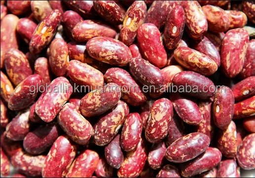 New Crop Red Speckled Kidney Beans
