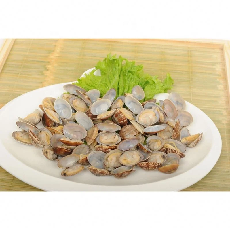 
Good Tasty Hot Sale Frozen Cooked Clam Meat With Shell 