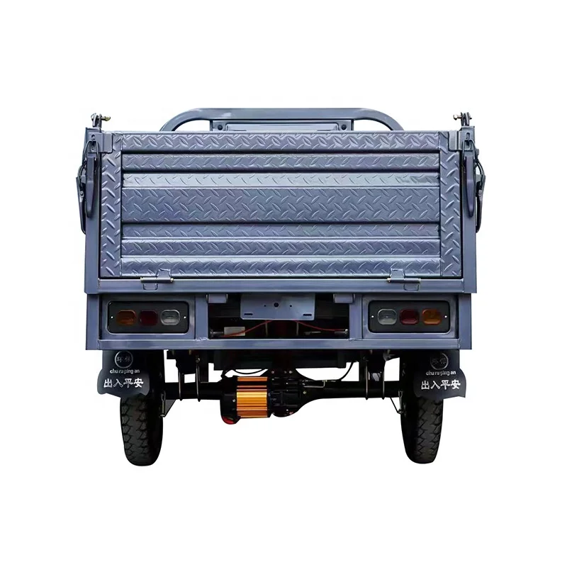China low price load electric tricycle 60V/1000W used for cargo transportation