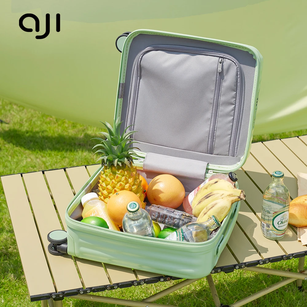 Aji Lightweight Trolley Bag PC Hardside Mini Luggage with Spinner Wheels Carry-On 14 Inch Checked In Suitcase