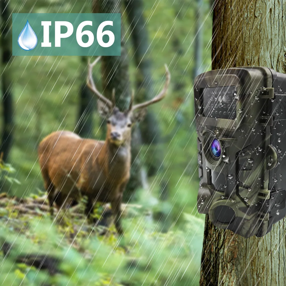 HunterCam PR700 2.7K insect animal observation camera with night vision animal detection camera spy OEM  hunting trail camera