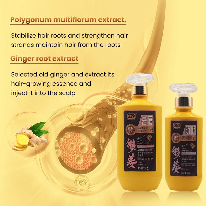 Zunrong wholesale private label OEM ODM salon 308g 710g herbal plant fresh ginger anti-break hair shampoo
