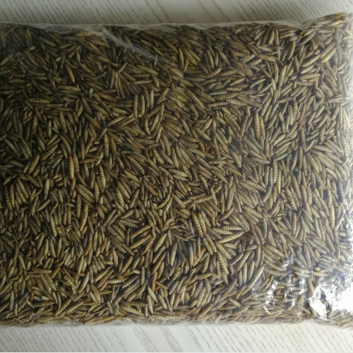 Dried Maggot BSFL Black Soldier Fly Larvae Dry Maggot Insect Protein Poultry Feed