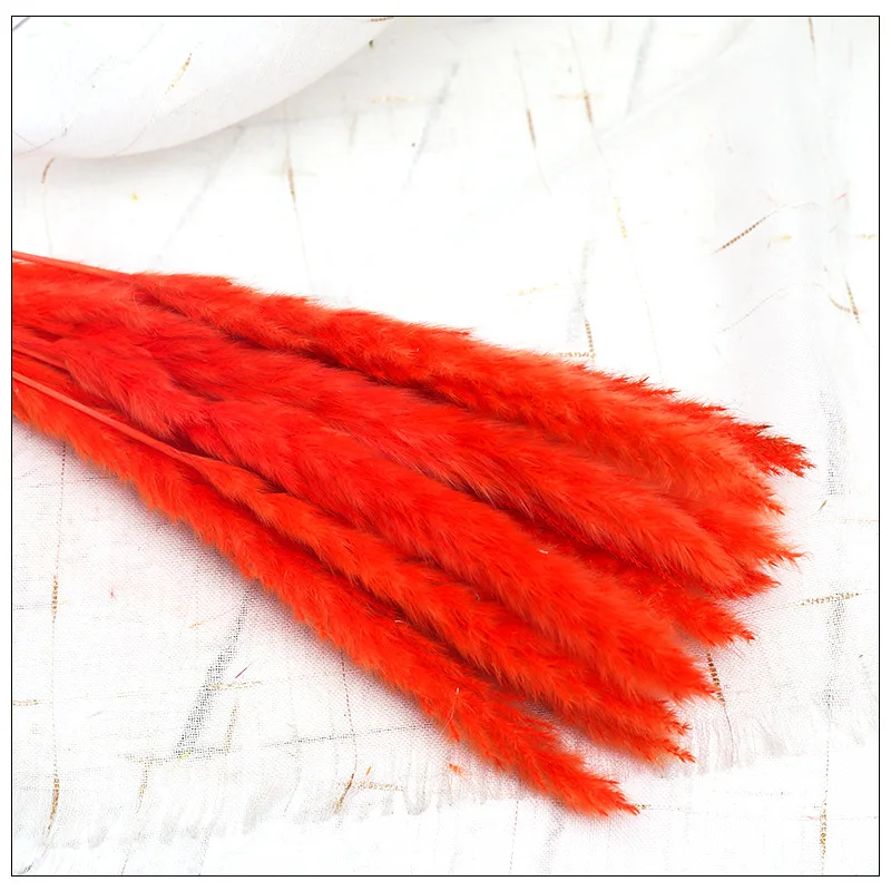 
2020 Wedding Home Decoration Natural Dried Flowers Small Pampas Grass Phragmites Communis 