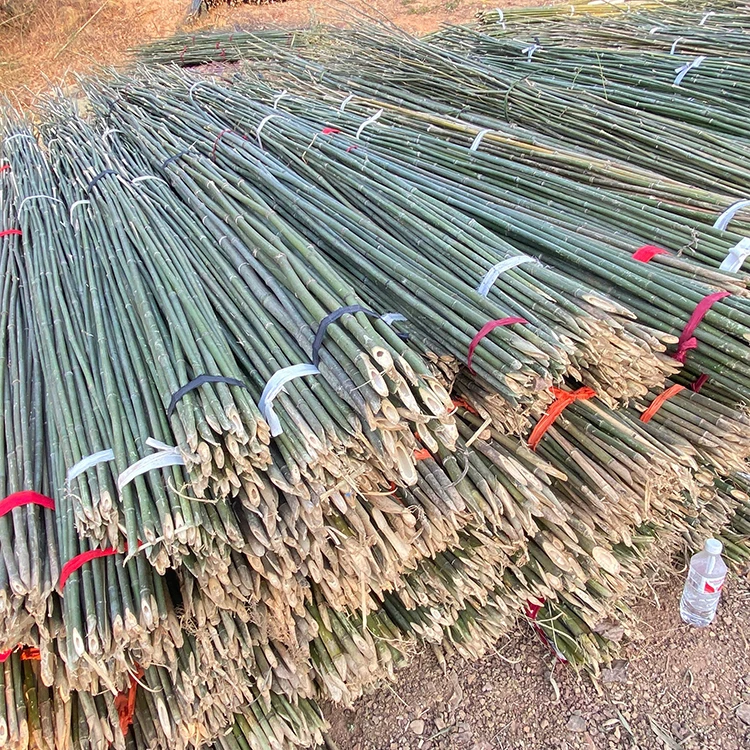 China Factory Direct Sales Of Strong Bamboo Fishing Rods 3M Long Bamboo Pole For Making Fence