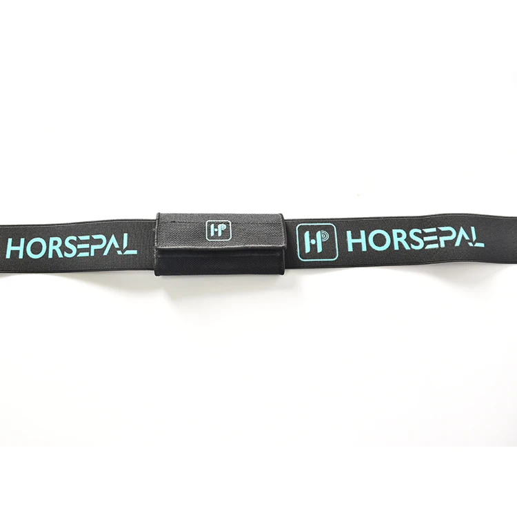 Heart Rate Strap Horse Equestrian Heart Rate Sensor Monitor