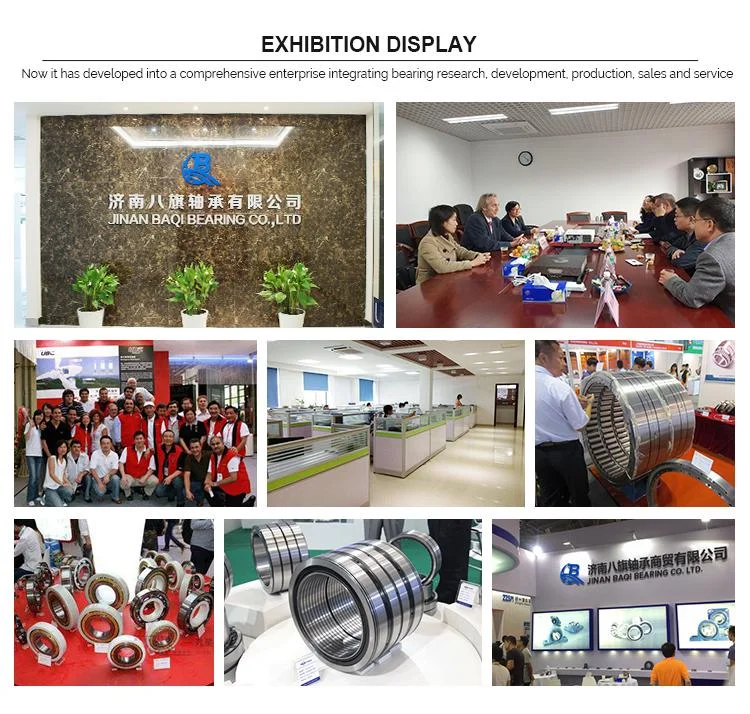 BaQi bearing exhibition.png