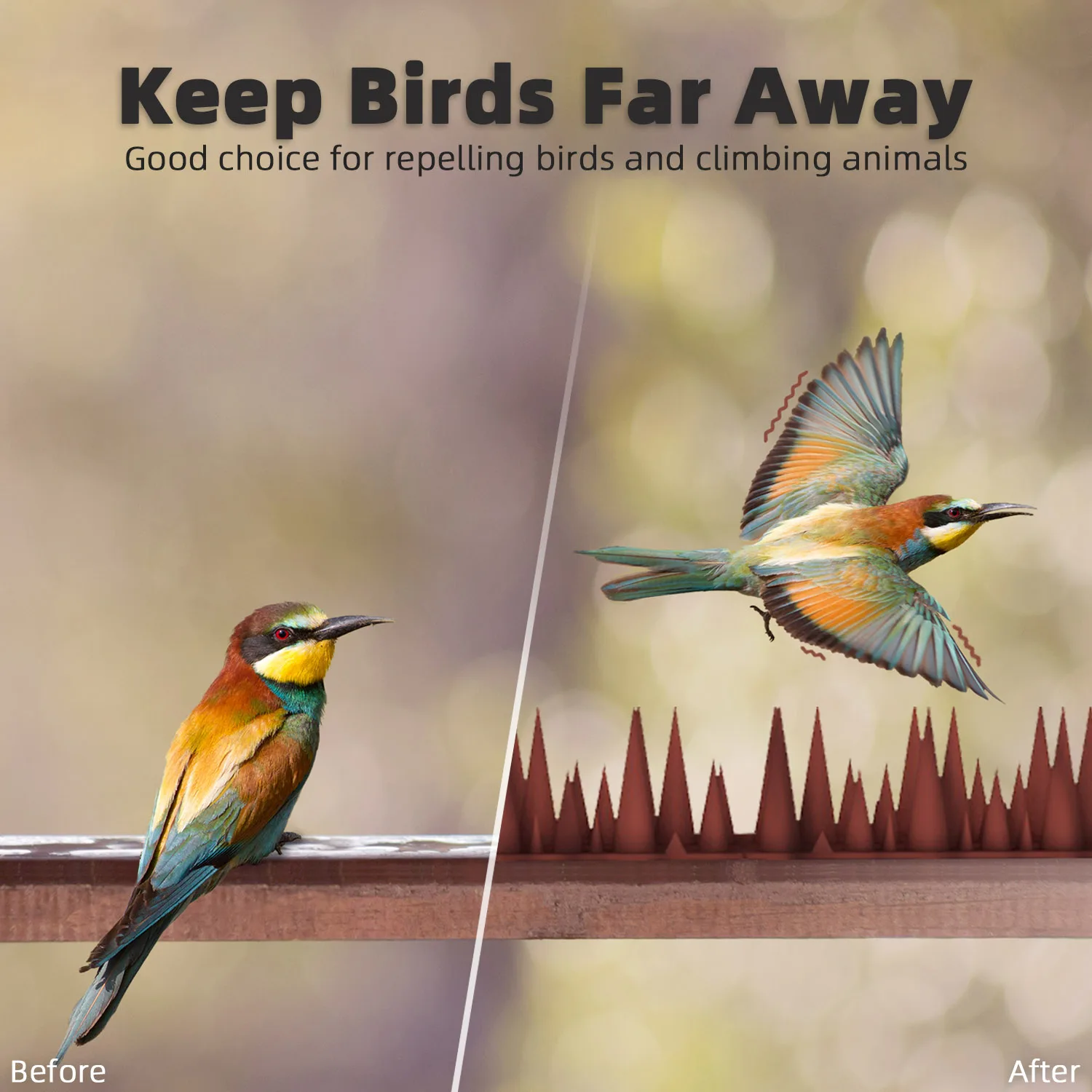 Outdoor Small Plastic Pest Defender Scare Birds and Protect Fences and Roofs Keep Birds Animal Away Bird Spikes