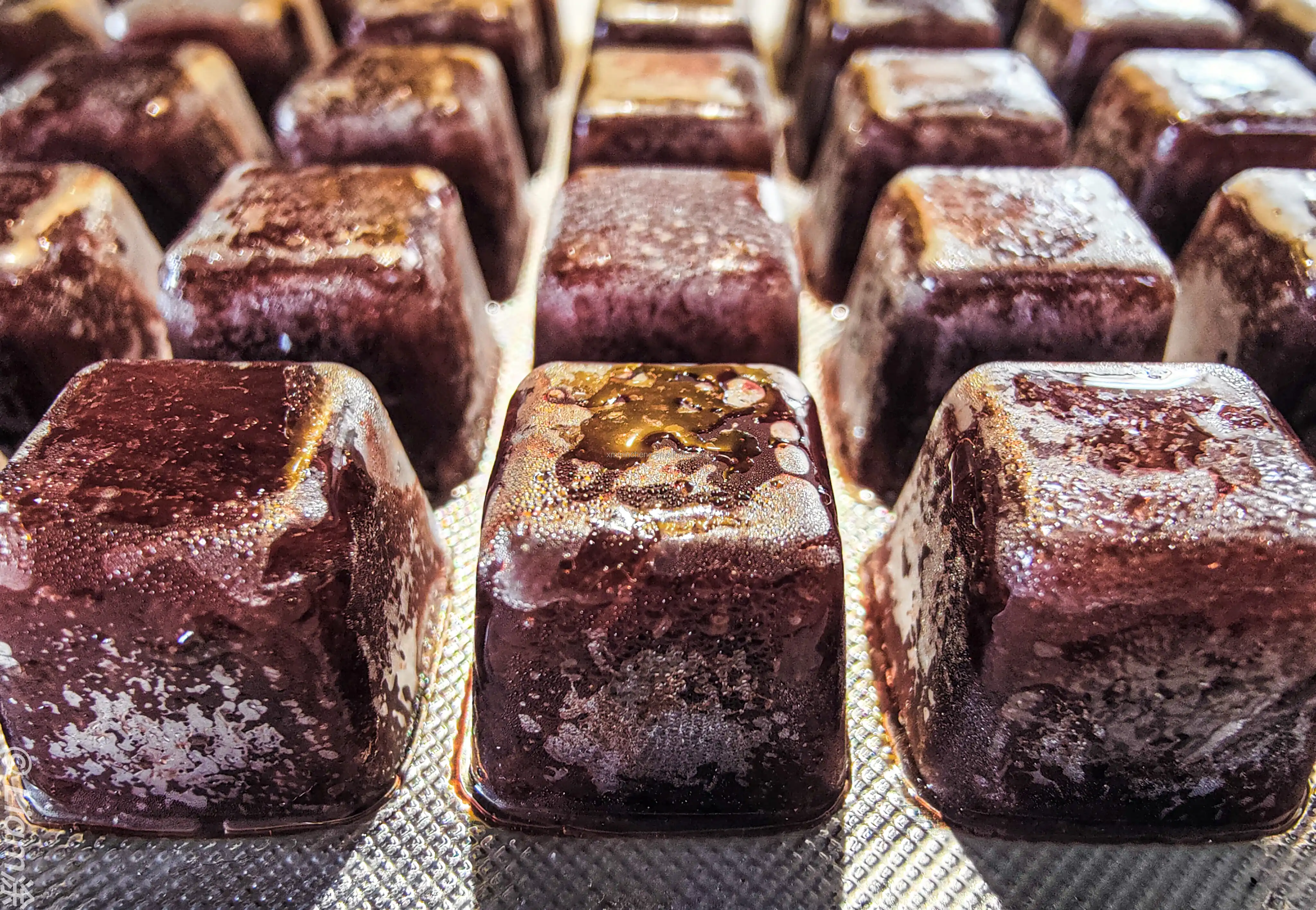 frozen bloodworm (6)