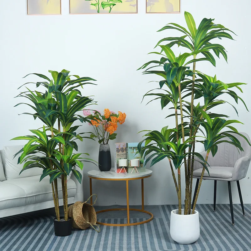 plants13