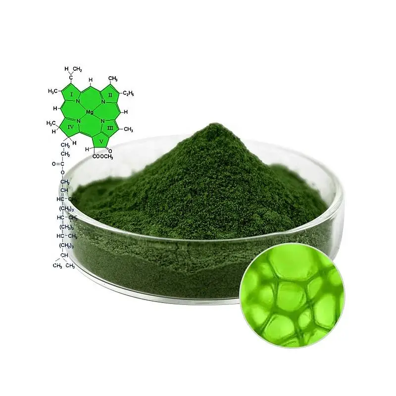 Halal Factory of Sodium Copper Chlorophyllin Mulberry Leaf Extract Green Pigment