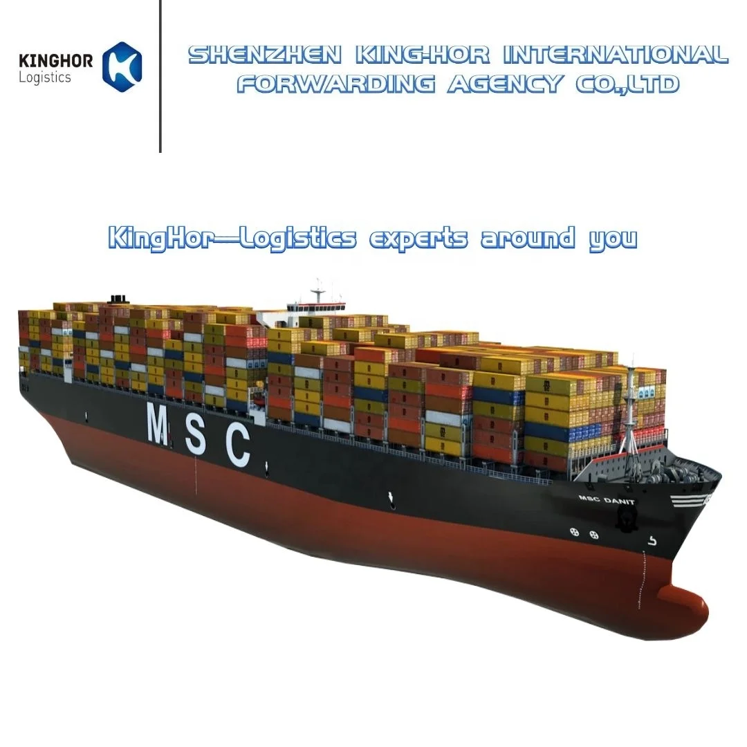 Logistics cheap sea shipping to Singapore DDP dropship agent
