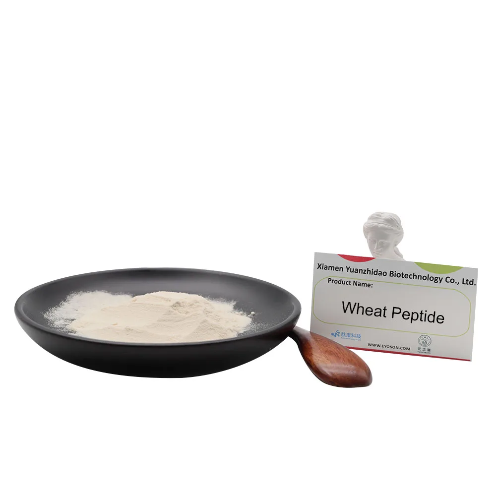 
Factory supply Wheat Peptide Natural Food Additives Premium quality bulk vegan protein blood health 