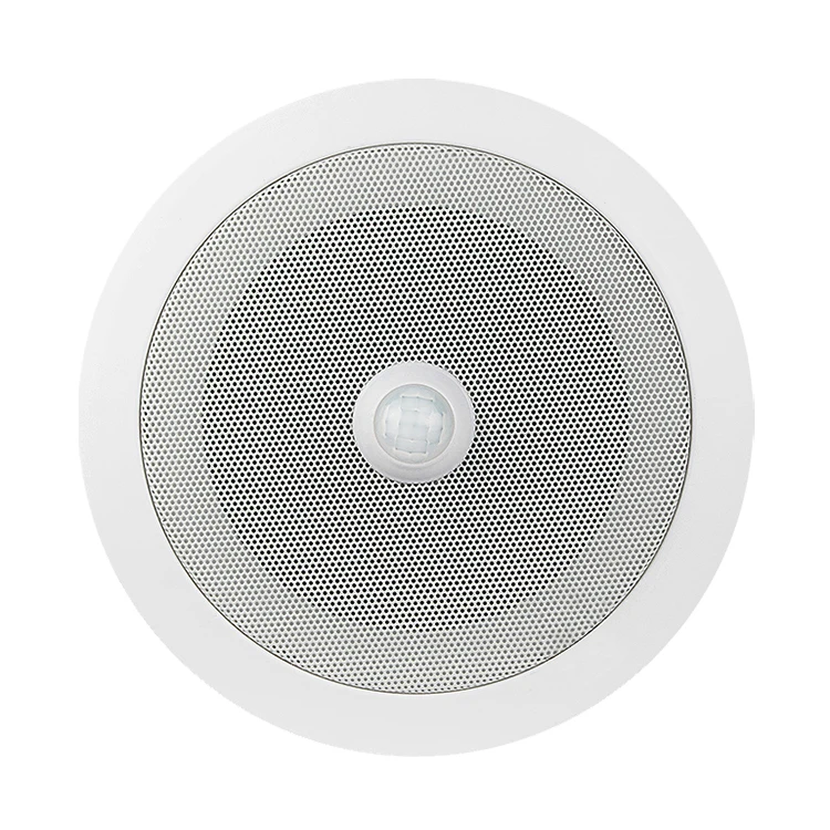 Private Mold Replaceable PIR Alarm Detective Audio Speaker Motion Sensor Manufacturer for Commercial Application