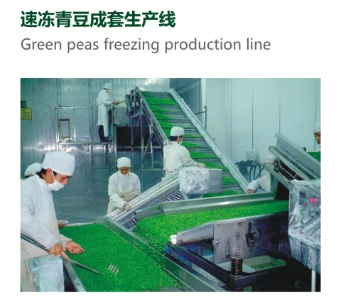 green peas freezing line