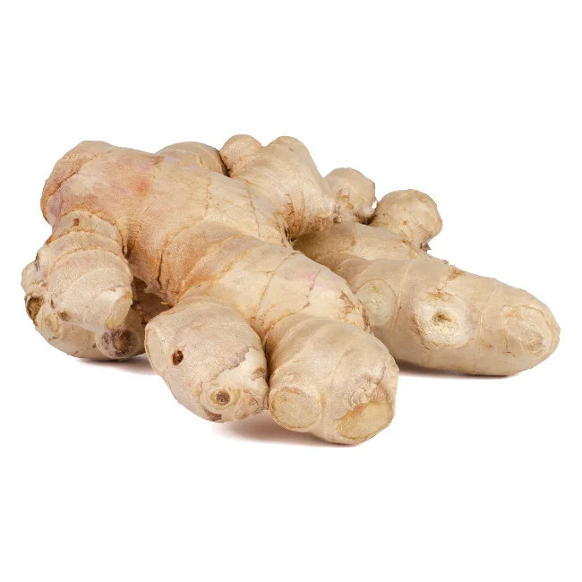 For international markets, we provide Top-quality young ginger and garlic, freshly imported from Vietnam, at competitive prices.