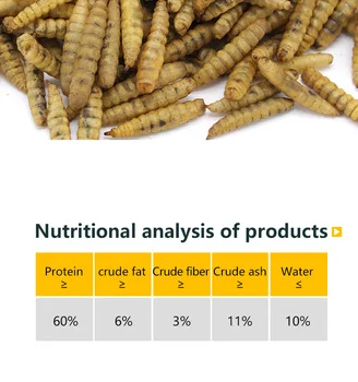 Dried Black Soldier Fly Larvae 2 LBS