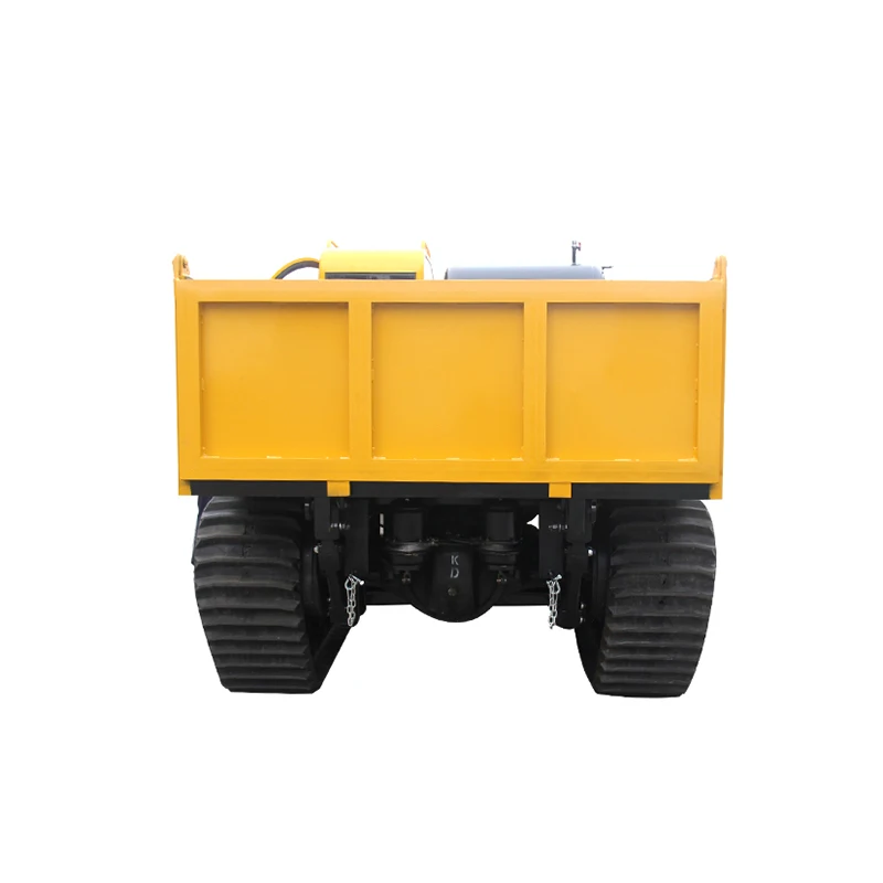 Available in Stock Easy to Operate Chain Dumper Truck Hydraulic Mini Truck Diesel Electric Fuel Options High Driving Cab Roof