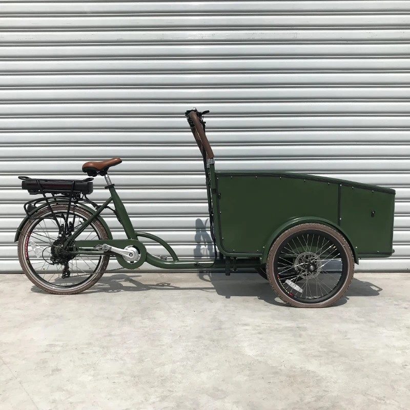 Family cargo bike for children rear motor bike factory price tricycle with child safe belts electric tricycles