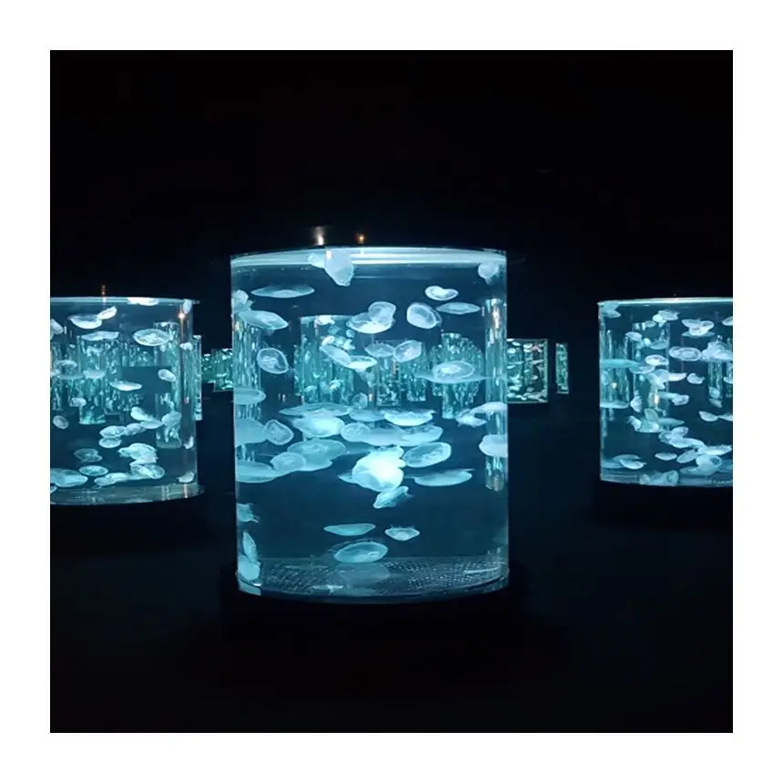 Cylinder Aquarium Acrylic Plexiglass Fish Tank