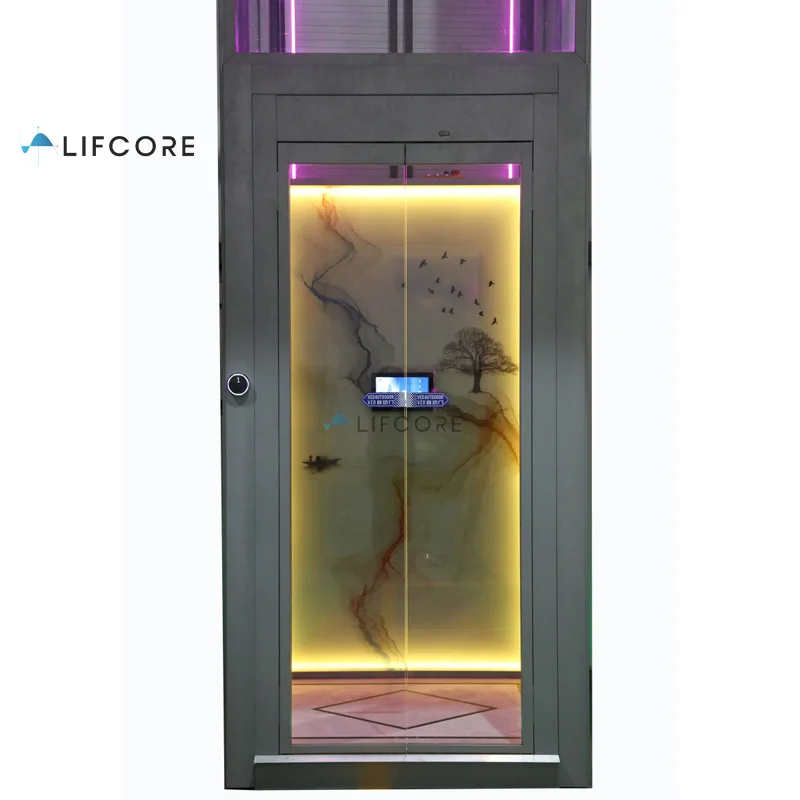 2-3 Stops 350kg Full Glass Residential Lifts Elevators With Beautiful Cabin