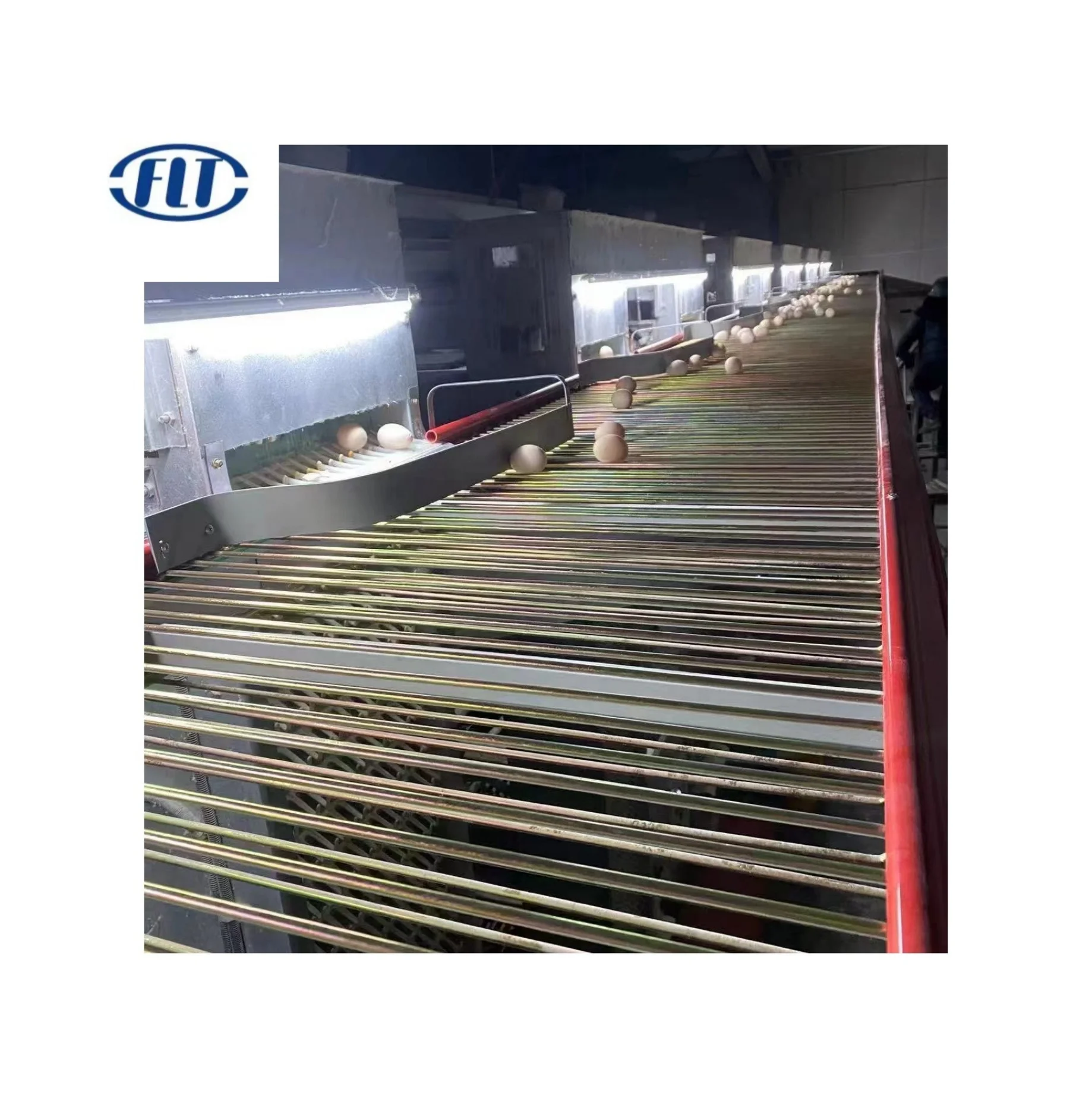 Galvanized 750mm  350mm 500mm 600mmPoultry Farm Equipment Automatic Egg Collecting Machine Egg Chain