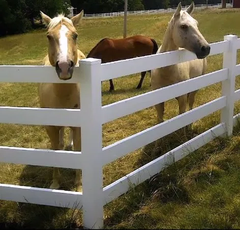 4 rail PVC ranch fence for horse wpc horse fence white panels with single gate