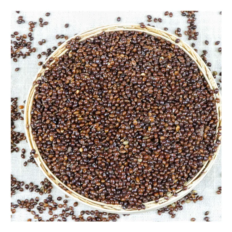 
2020 New Crop Bird Seed Food Black Broomcorn Millet 