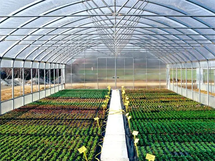 One one  High strength Agricultural poly tunnel Green House/tomato greenhouse for sale
